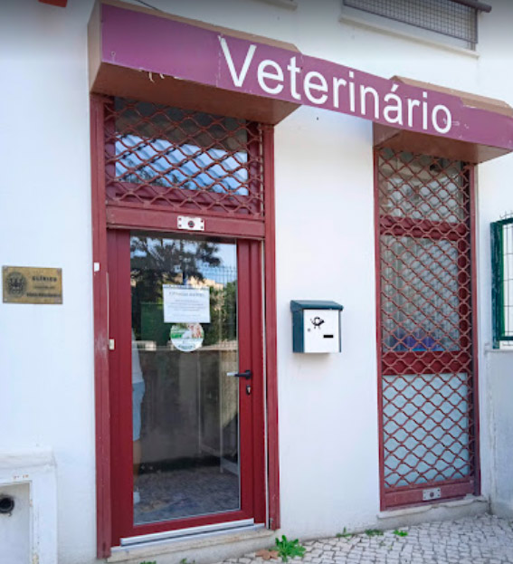 Dogtor - Clínicas Veterinárias, Lda.