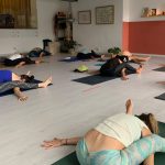 Ashtanga Yoga Tree