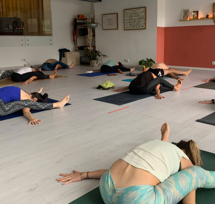 Ashtanga Yoga Tree