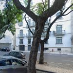 Empresa que executa obras de construção civil e intervenções estruturais