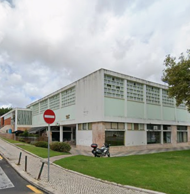 Execução de obras de construção civil e construção de edifícios