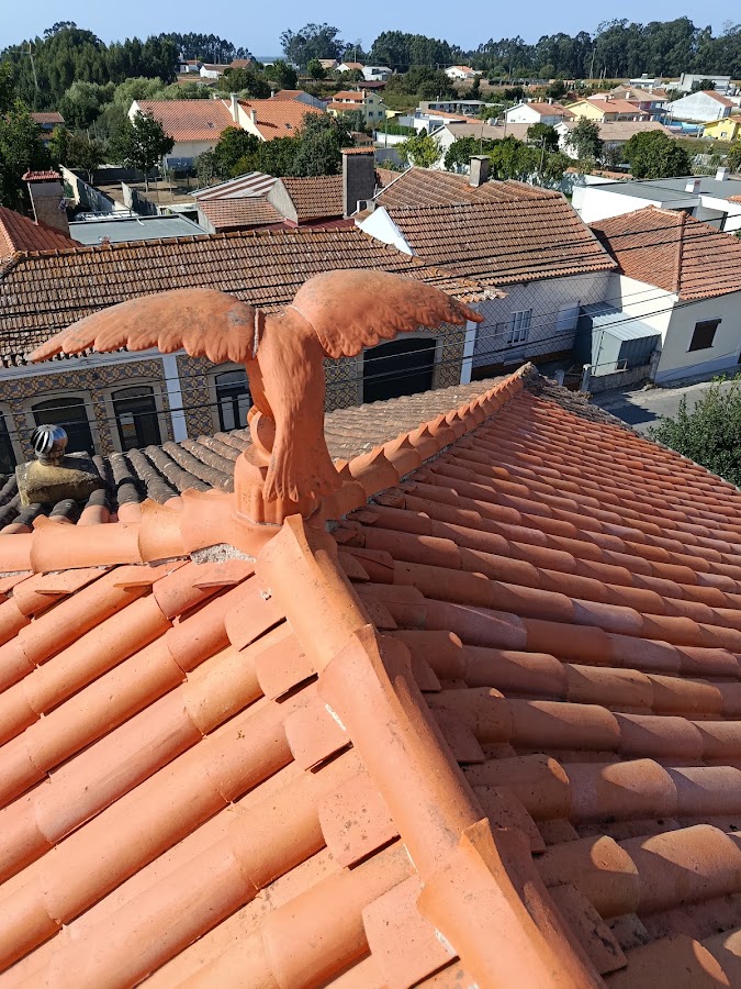 RS RENOVAÇÃO foto 2