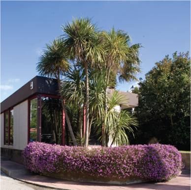 Real Dunes Investments S.A. foto 4