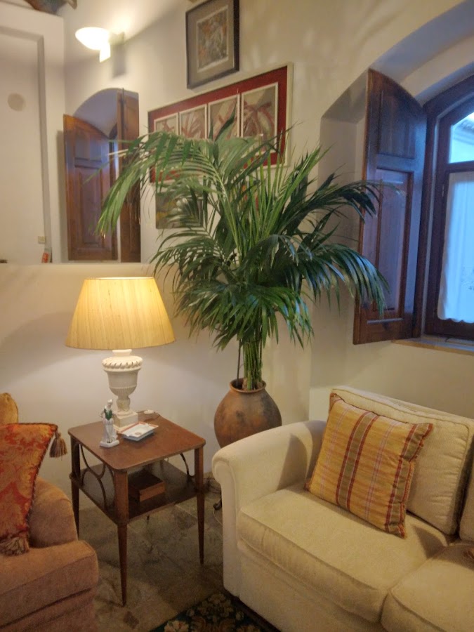 Marante foto 4
