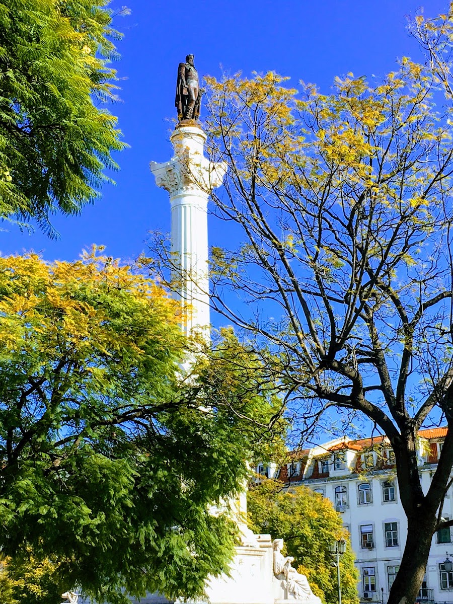 NR Comércio e Aluguer de Máquinas e Acessórios, LDA foto 1