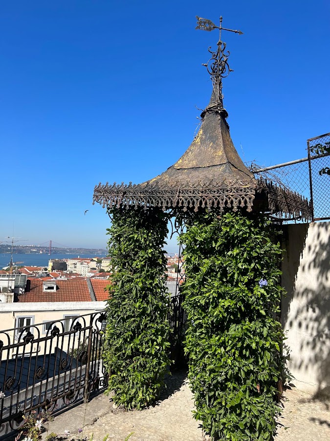 Paisageiro foto 4