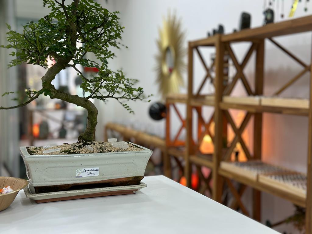 ATELIER SAURO DINIS - PEDRAS E CRISTAIS foto 6