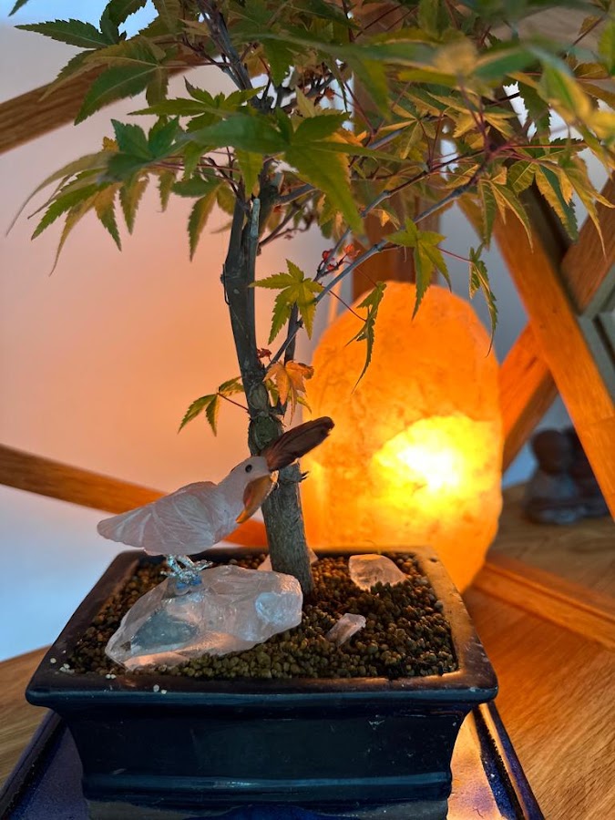 ATELIER SAURO DINIS - PEDRAS E CRISTAIS foto 9