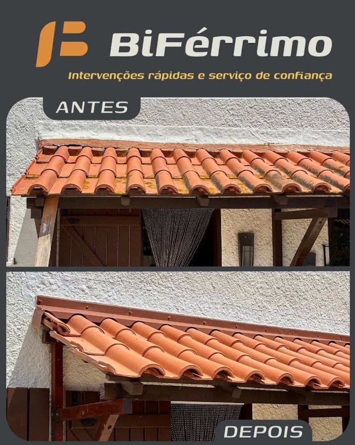 BiFérrimo foto 7