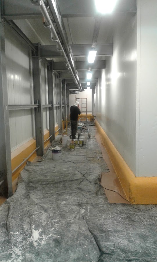 Girassol Opulento - Construções Unipessoal Lda foto 3