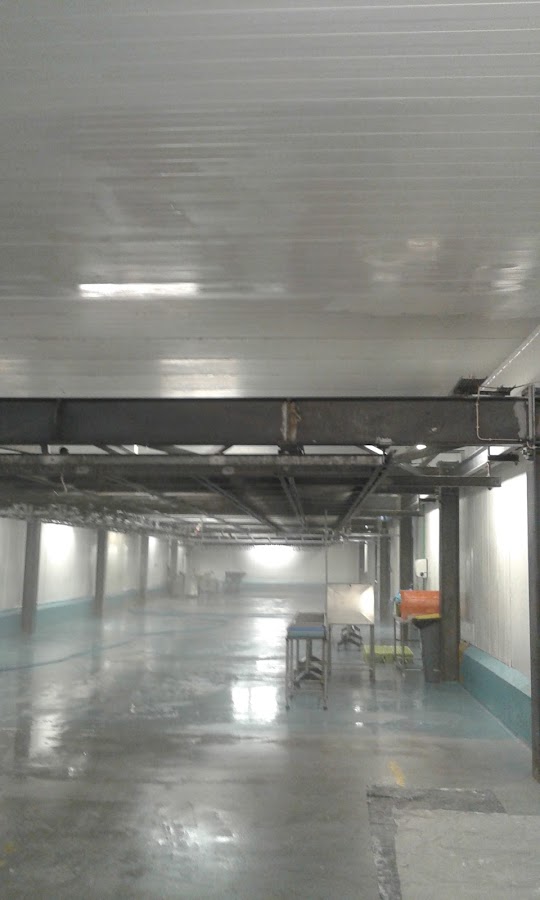 Girassol Opulento - Construções Unipessoal Lda foto 7
