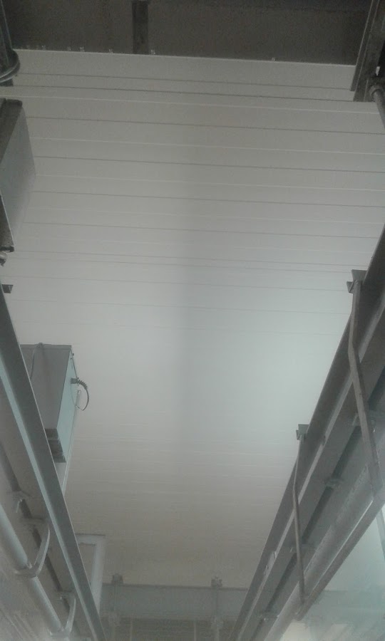 Girassol Opulento - Construções Unipessoal Lda foto 8