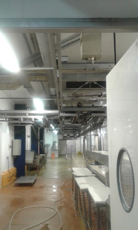 Girassol Opulento - Construções Unipessoal Lda foto 10
