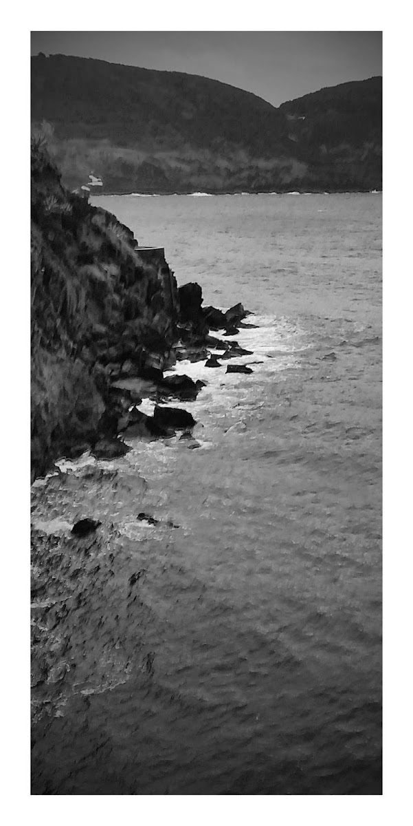 Arquitectura Juliana Couto, Lda. foto 6