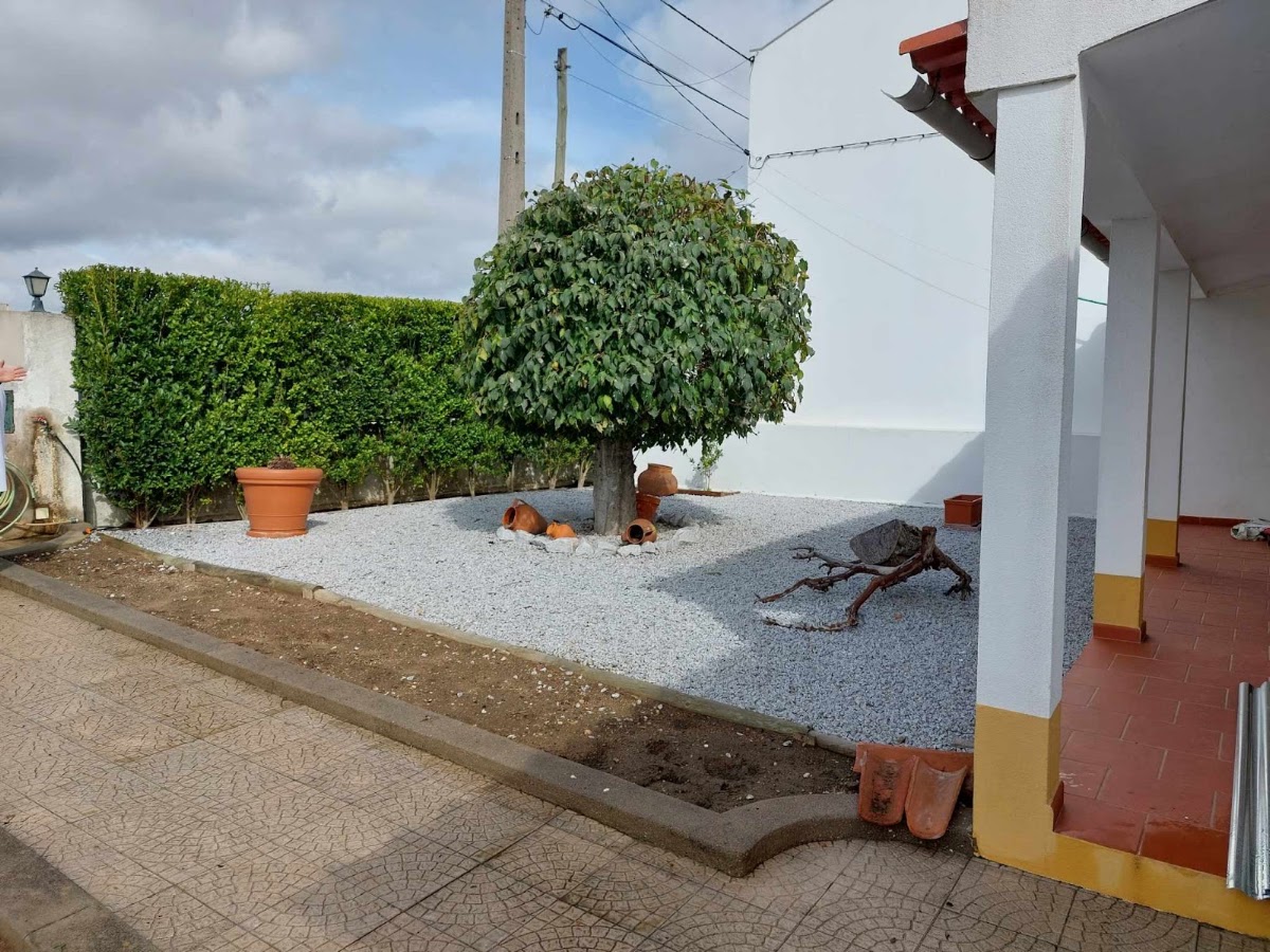 Pétala Matriarcal Unipessoal LDA foto 4