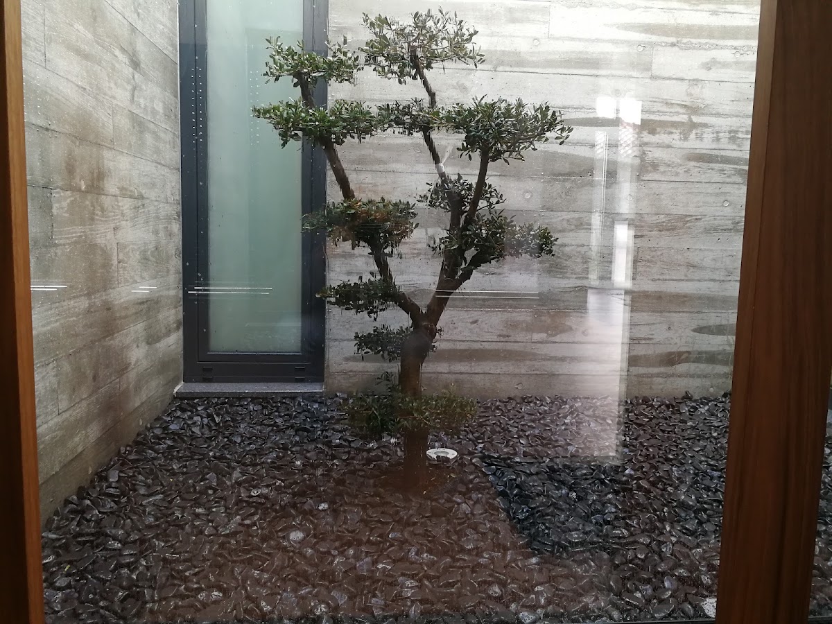 Abrigo de Sonho Construções foto 6