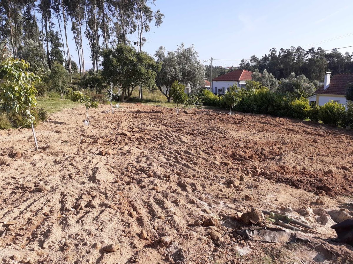 Jcoelhomoreira terraplanagem e limpezas foto 4