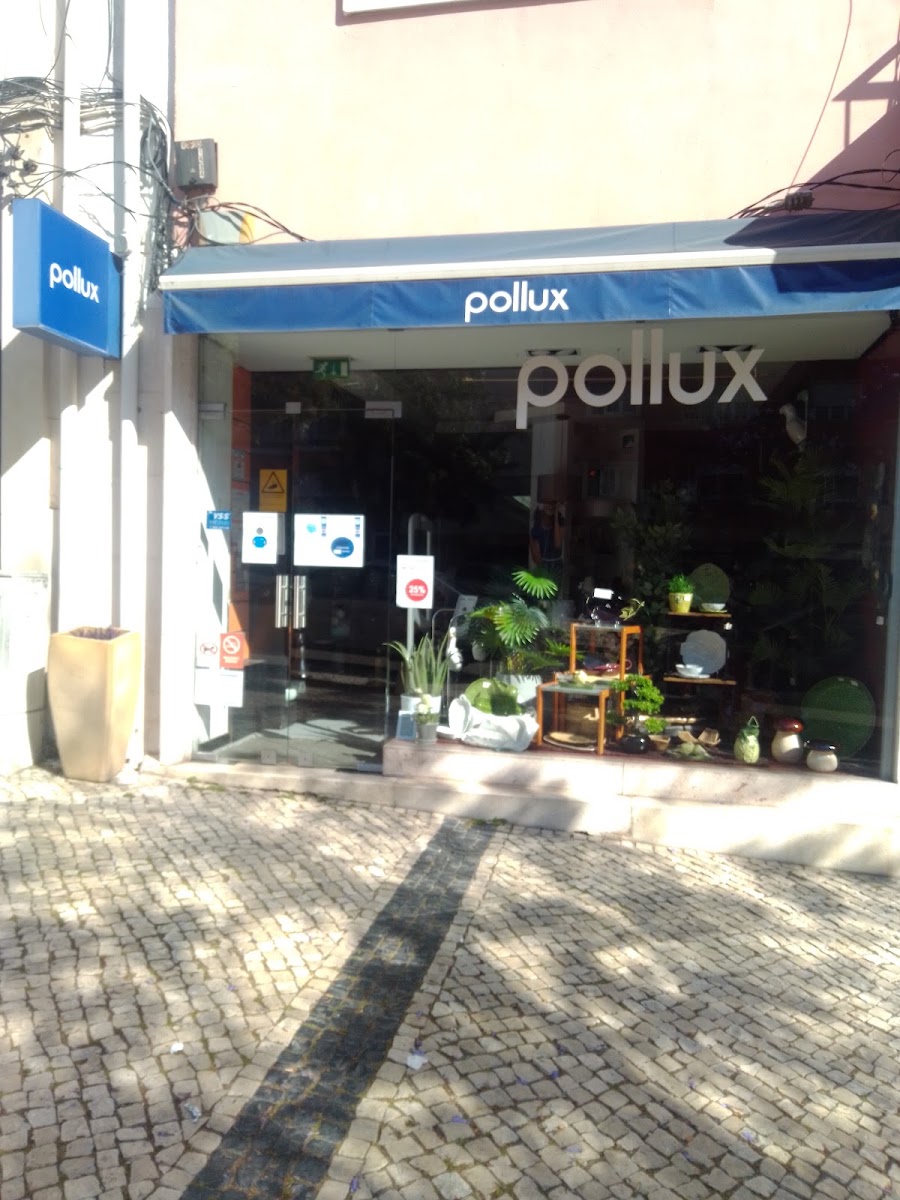 Pollux foto 2