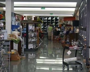 Pollux foto 8