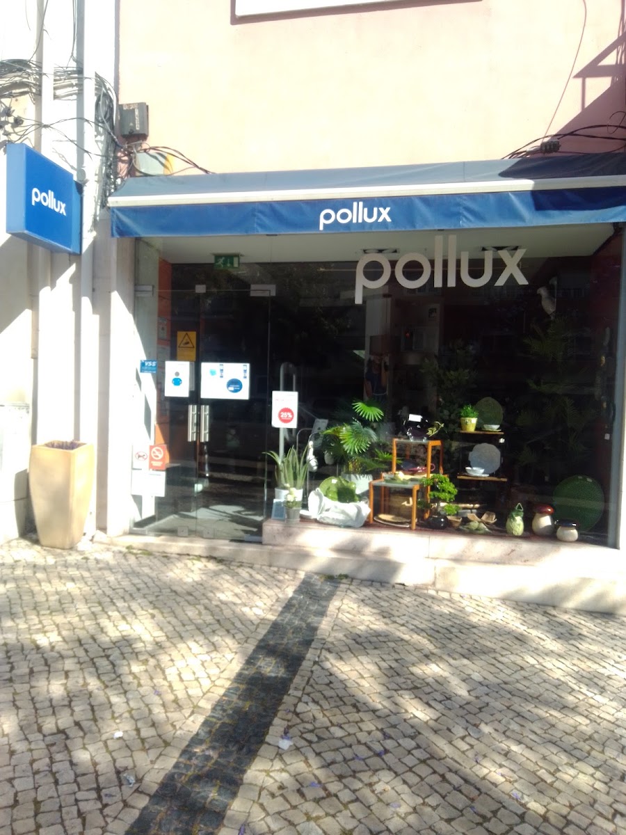 Pollux foto 10