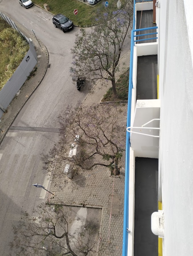 Solução Âncorada Pinturas e Construções LDA foto 4