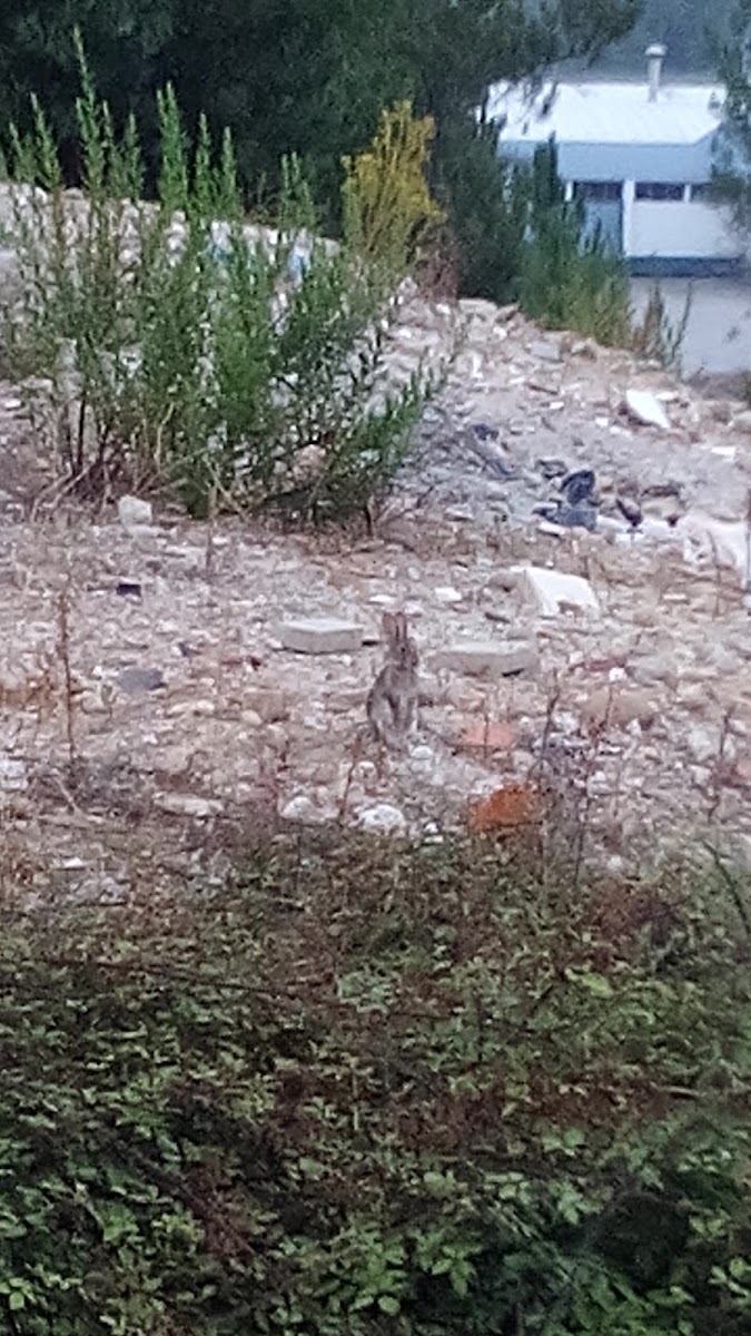 Abrantimetal, Comércio de Perfis de Alumínio, Lda foto 1