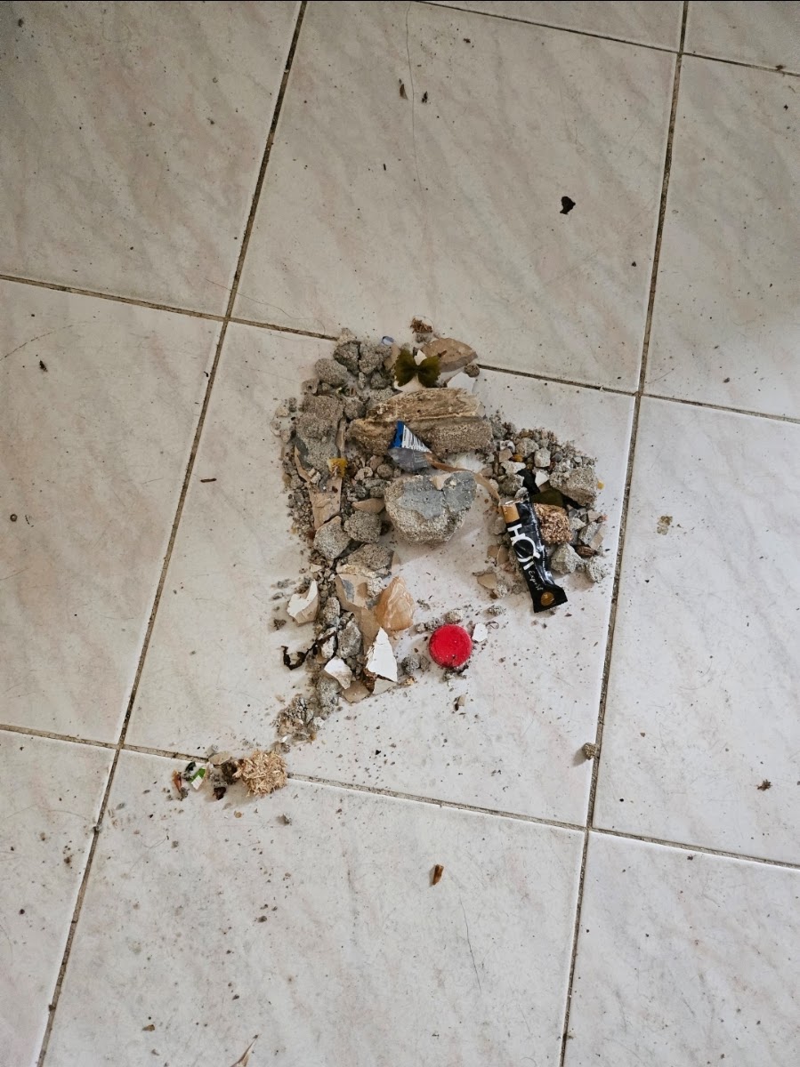 Hora Certa,Lda foto 1