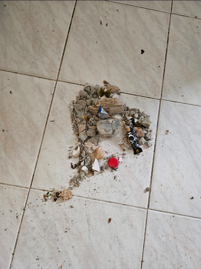 Hora Certa,Lda foto 2