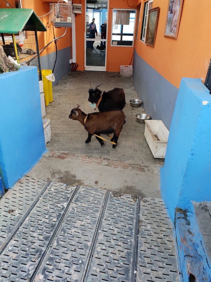 Lisboa &amp; Amorim, Lda foto 4