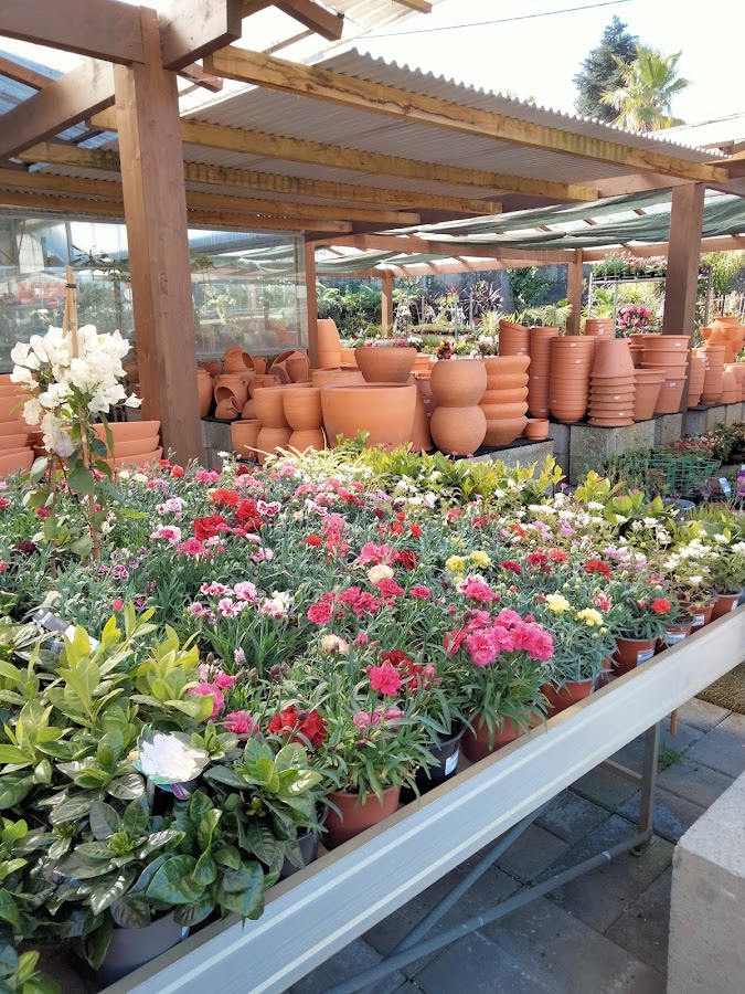 Progressoplantas Horto De Valbom (Croquiplanta) foto 6